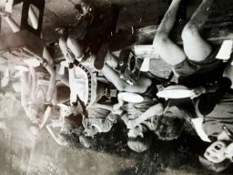 1980 KAMP